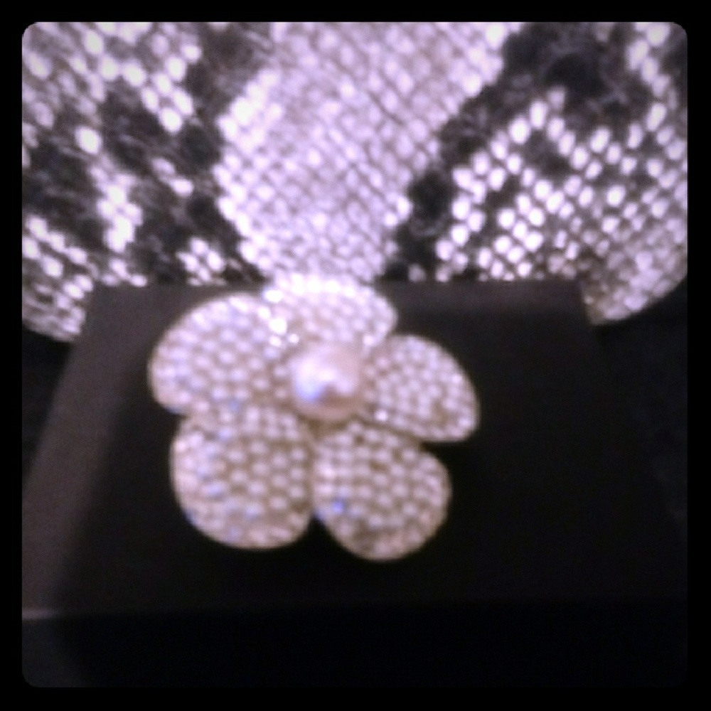 Ladies brooch